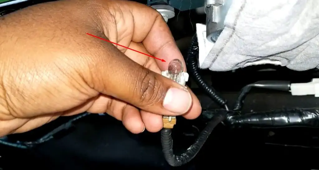 2011 Infiniti Qx56 License Plate Bulb Replacement by Expert Way